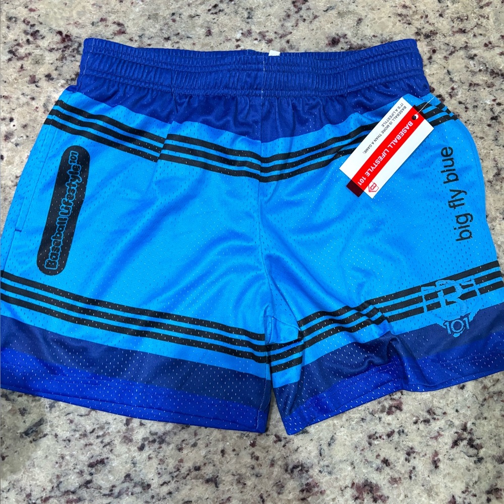 Baseball lifestyle 101 crayon shorts
